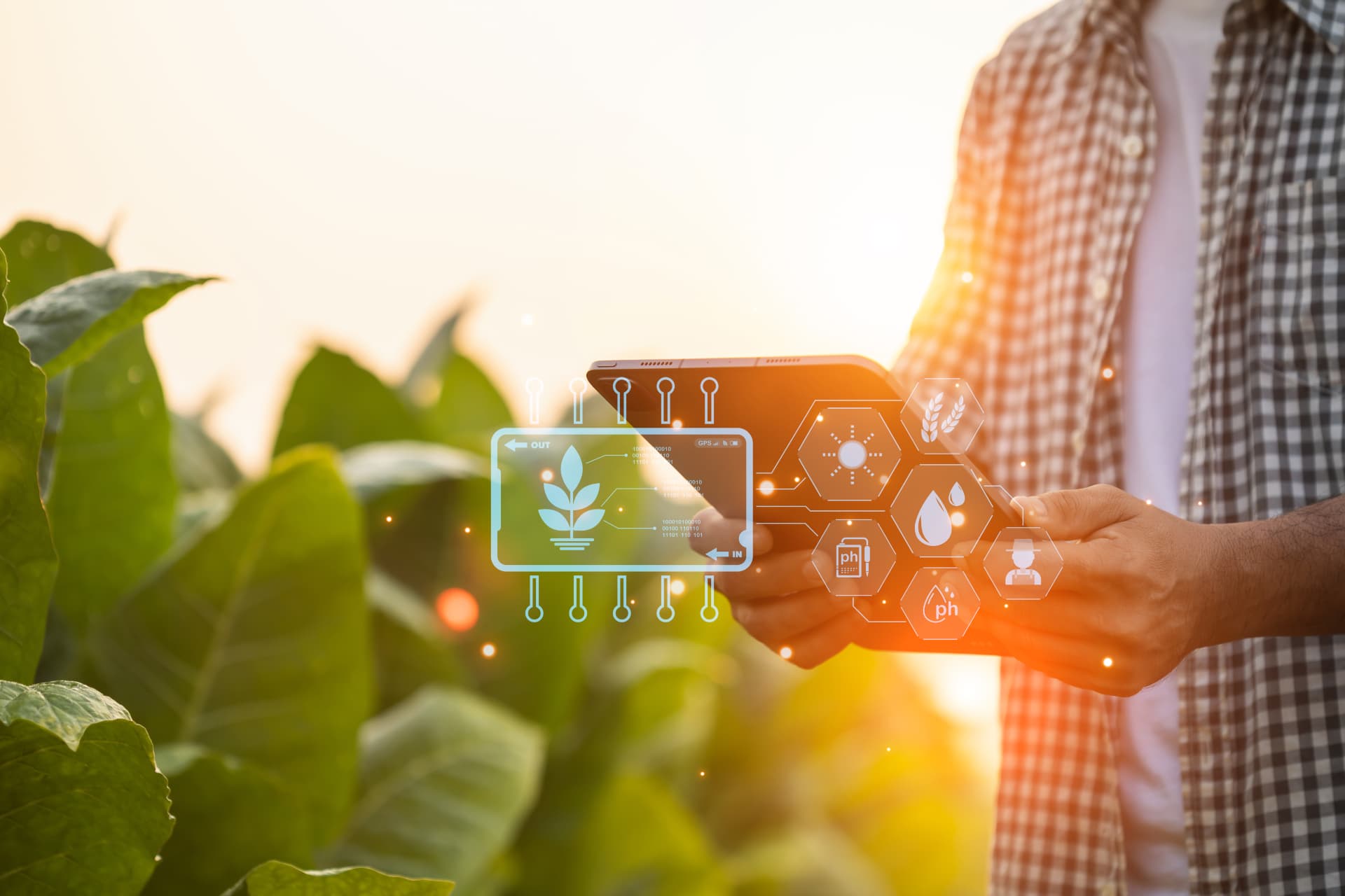 Produtor analisando dados agrícolas em um tablet